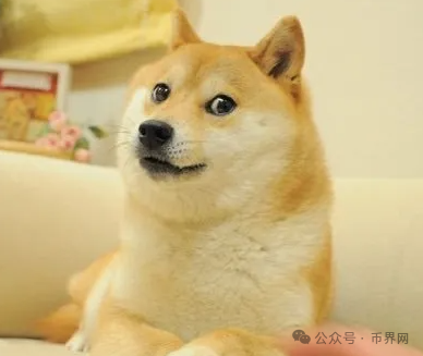 寒冬已过？加密市场11月表现预示牛市曙光